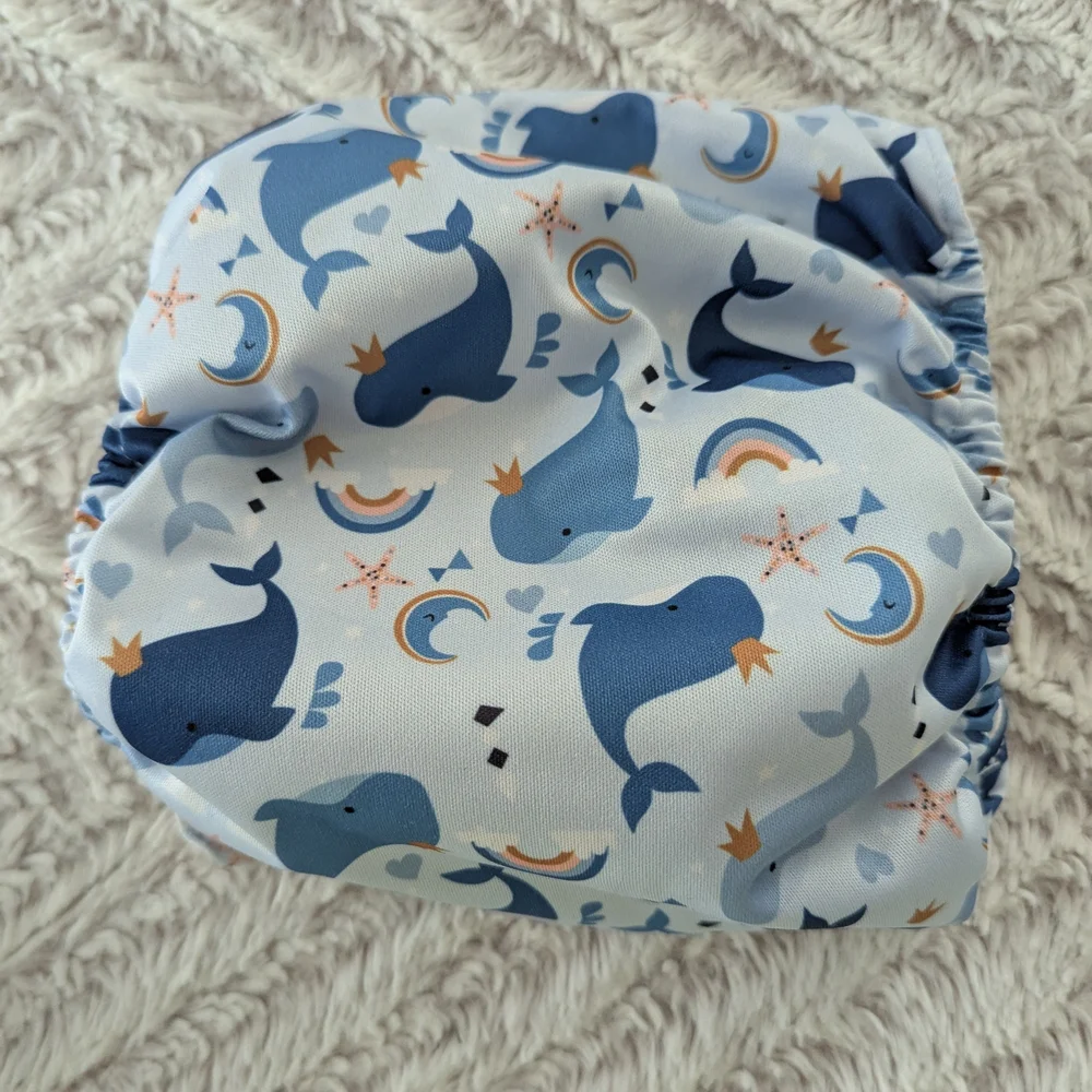 Wegreeco Belly Band Bundle